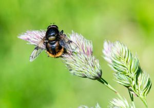 eco toothbrushes: small changes for a big impact