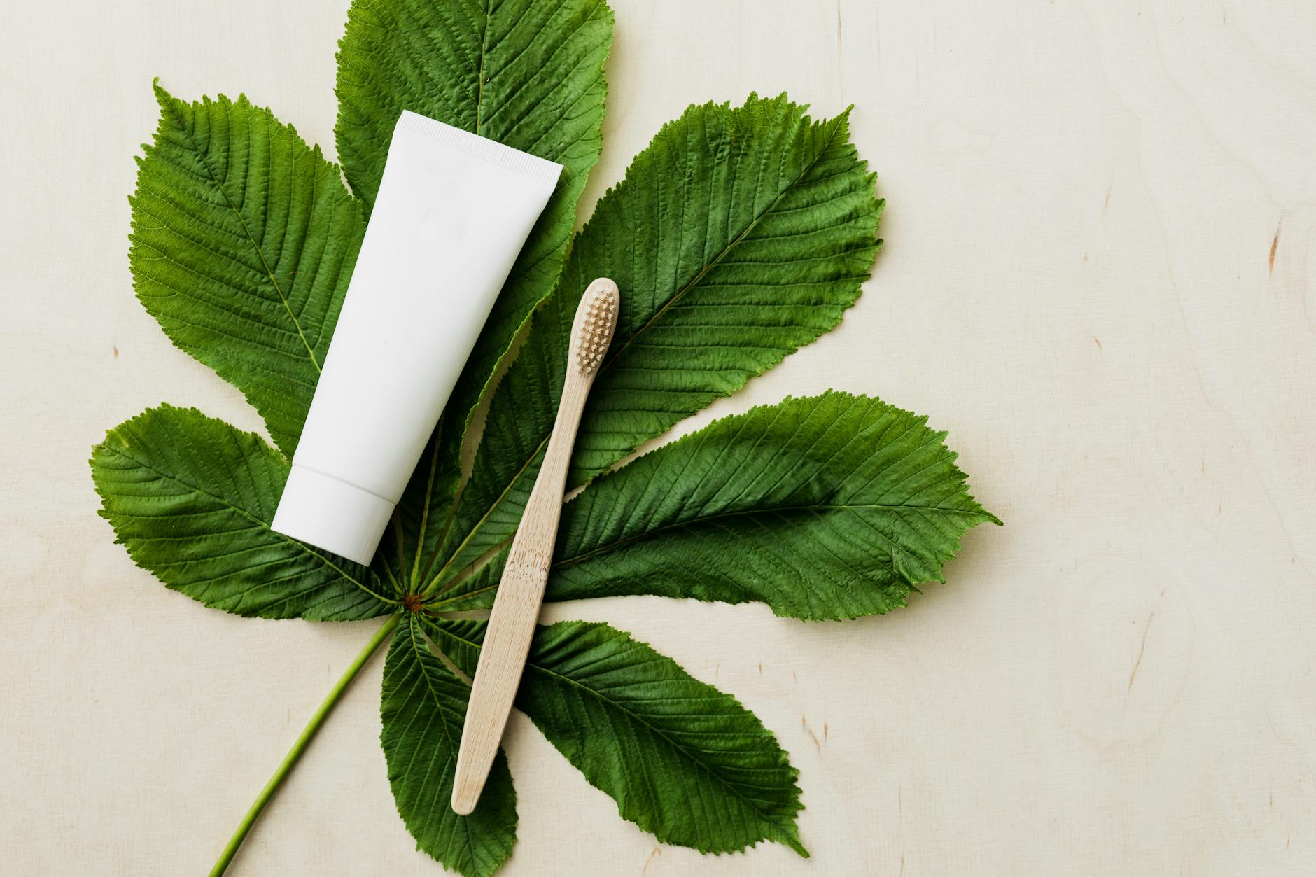 A flat lay of eco-friendly toothpaste and bamboo toothbrush on green leaves.